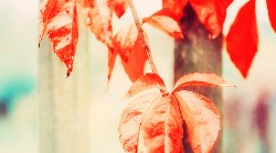 Een zorgmedewerker lacht terwijl ze met een oudere vrouw praat in een zorgomgeving.